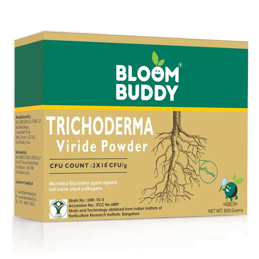 BloomBuddy Trichoderma Viride 1.5% WP Biofungicide, Disease Prevention & Plant Growth Promotion