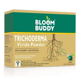 BloomBuddy Trichoderma Viride 1.5% WP Biofungicide, Disease Prevention & Plant Growth Promotion 1