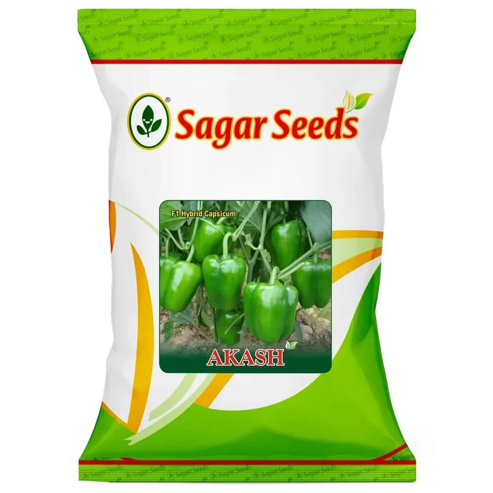 Sagar Akash F1 Hybrid Capsicum Seeds, High Yield, Hard Skin, Long Shelf Life, Early Maturity - Image 1