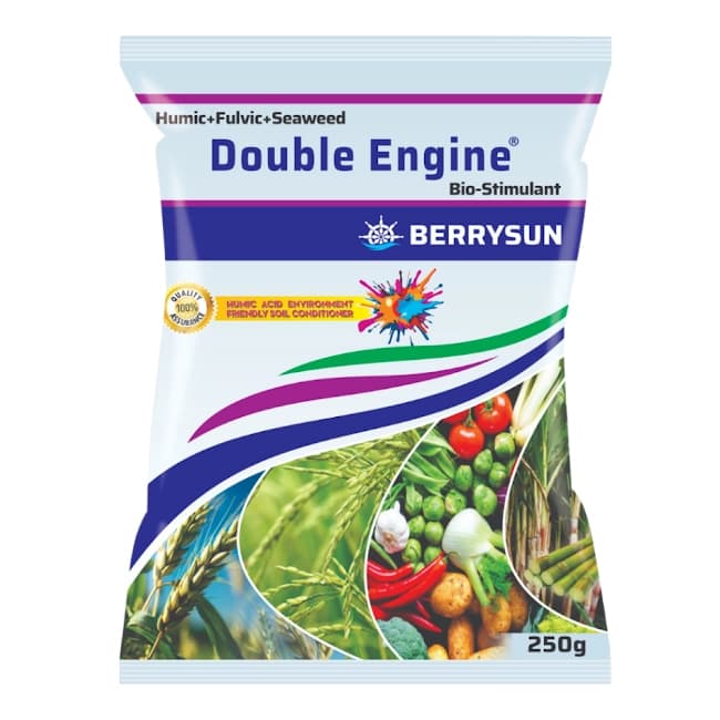 Berrysun DOUBLE ENGINE Humic + Fulvic + Seaweed Extract, Enhance Root Development, Soil Health And Plant Growth