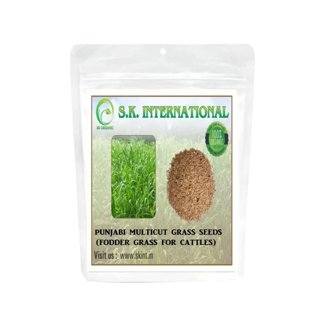 S.K. International Punjabi Multicut Grass Seeds - Image 1