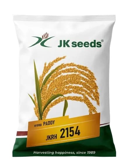 JK Seeds JKRH 2154 Hybrid Paddy Seeds - Image 1