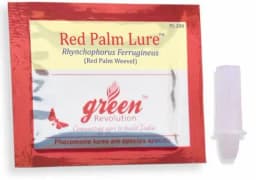 Pheromone Lure (Rhynchophorus Ferrugineus) For RPW - Red Palm Weevil. Useful In Coconut Palm, Date Palm, Oil Palm & Areca Nut Palm. 1