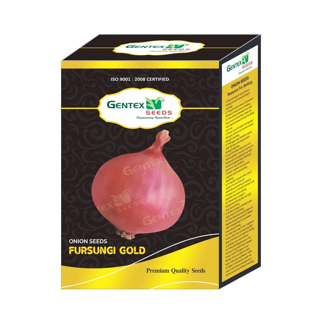 Gentex Fursungi Gold Onion Seeds, Kande Ke Beej For Late Summer to Winter Season, Pink Light Red - Image 1