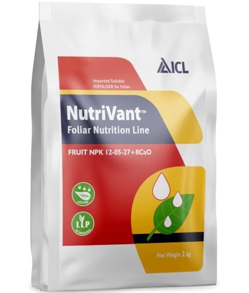 ICL Fruit Npk Foliar Nutrition Line 12:05:27 + 8CaO, Foliar Fertilizer For Higher Fruit Yields