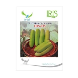 Iris IHS-035 F1 Hybrid Cucumber Seeds, High Yield, Fast Growing, Heat Tolerant Variety 1