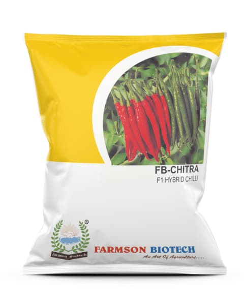 Farmson FB Chitra F1 Hybrid Chilli Seeds, Dual Purpose, Dark Green Fruit with Semi-Wrinkled Surface - Image 1