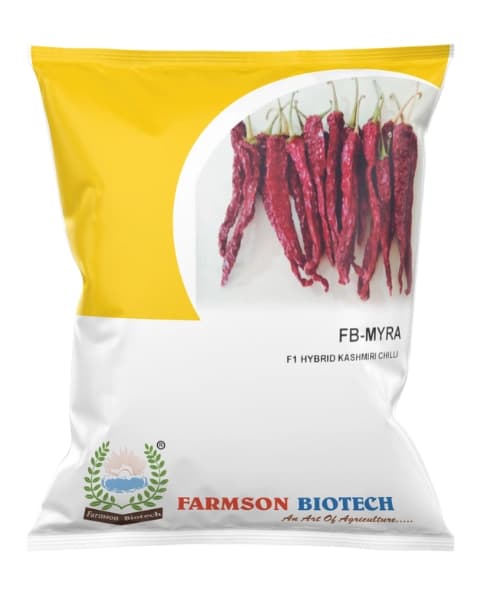Farmson FB Myra (Kashmiri Chili) F1 Hybrid Chili Seeds, High Yield, Mild Pungency & Robust Plant Habit