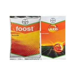 Laudis + Foost Maize Suraksha Combo (57.5ml Laudis & 200ml Laudis Surfactant + Foost 250 gm). A special treatment to control weeds in maize. 1