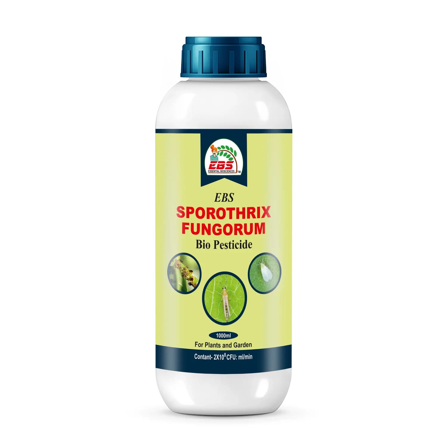 EBS Sporothrix Fungorum Bio Pesticide, Control All Types Of Mites On All Crops - Image 1
