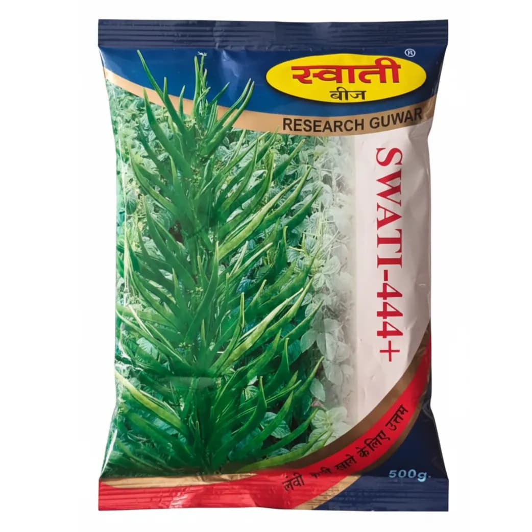 SWATI-444+ Research Guwar Seeds, Early Harvest, High Yield, Long Soft Pods Variety - Image 1
