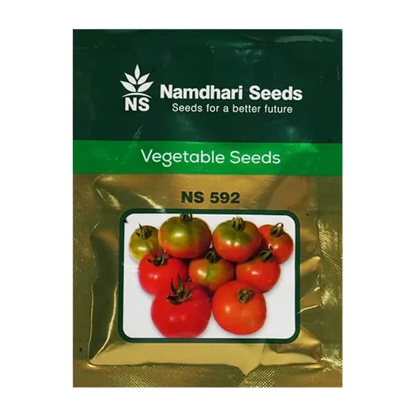 Namdhari NS 592 F1 Hybrid Tomato Seeds, High Yield TYLCV Resistant Variety, Suitable For Kharif And Rabi Seasons - Image 1