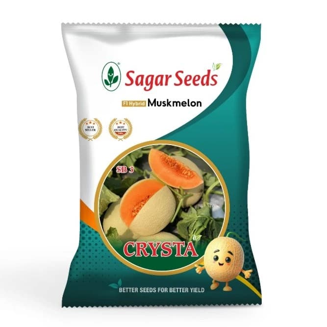 Sagar Crysta F1 Hybrid Muskmelon Seeds, Yellow Skin, Green Stripes, High Yield, Orange Crimson Flesh - Image 1
