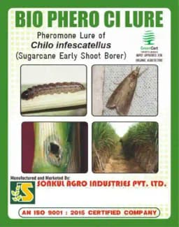 Sonkul Agro Industries Combo Of BIO PHERO CI Chilo Infescatellus (Sugarcane Early Shoot Borer) Lure & Delta Trap For Sugarcane.  1