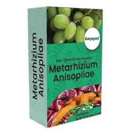 Katyayani Metarhizium Anisopliae Bio Insecticide, (Powder) Talcum Based Powder Formulation Used For Effective Pest Control 1