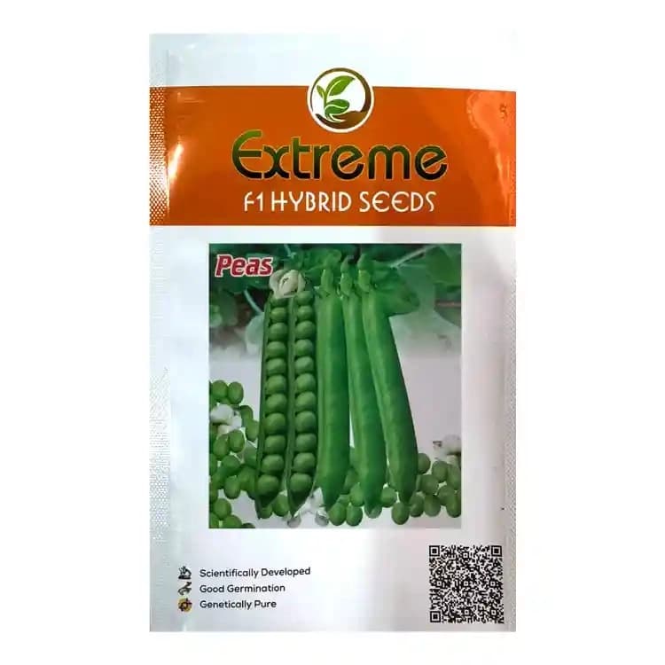 Extreme Pencil F1 Hybrid Peas Seeds, Mattar Ke Beej, Vegetable Seeds, High Yield Potential - Image 1