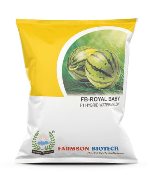 Farmson FB Royal Baby F1 Hybrid Watermelon Seeds, Round Shape, Tolerant to Bud Necrosis and Fusarium Wilt Diseases - Image 1
