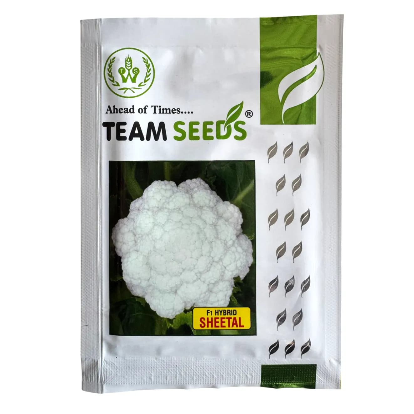 Team Seeds Sheetal F1 Hybrid Cauliflower Seeds, Early Maturity And Compact Curds - Image 1