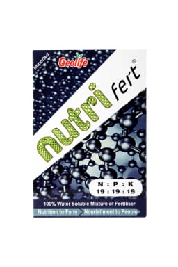 Geolife Nano Fert NPK 19:19:19 Water Soluble Fertilizer For Effective Vegetative Growth 1