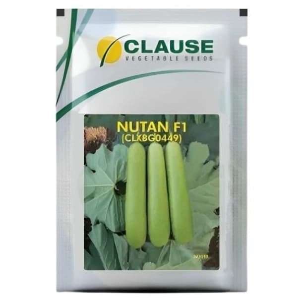 HM Clause NUTAN F1 Hybrid Bottle Gourd Seeds - Image 1