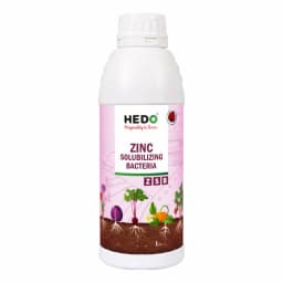 HEDO Zinc Solubilizing Bacteria (ZSB) Liquid Bio Fertilizer, For All Plants, Agricultural & Garden, Helps to Improves Soil Fertility 1