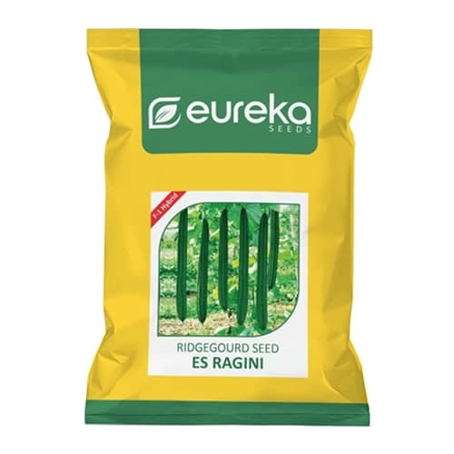 Eureka ES RAGINI F1 Hybrid Ridge Gourd Seeds, High Yield, Uniform Cylindrical Fruits - Image 1