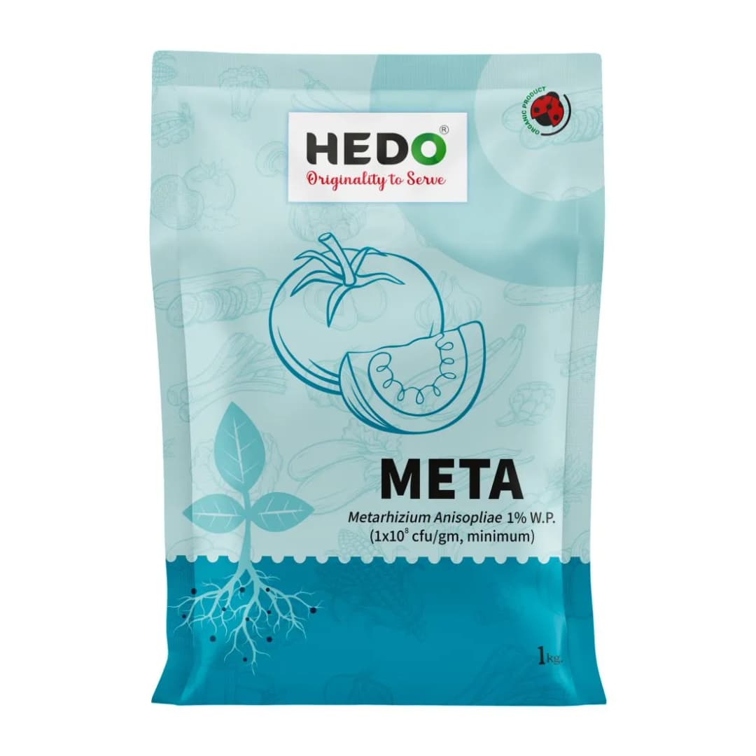Hedo Meta (Metarhizium Anisopliae) Bio Pesticide, Effective Pest Control Against A Wide Range Of Insects