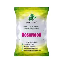 SRI SAI FORESTRY - Shisham Tree Seeds (North Indian Rosewood ) , Hard Tiber Seeds 1