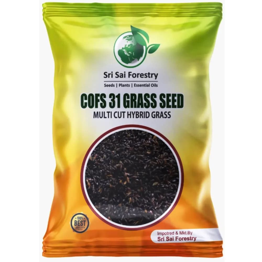 Sri Sai Forestry COFS 31 Grass Seeds For Goat And Cow, Multi Cut Fodder Seed