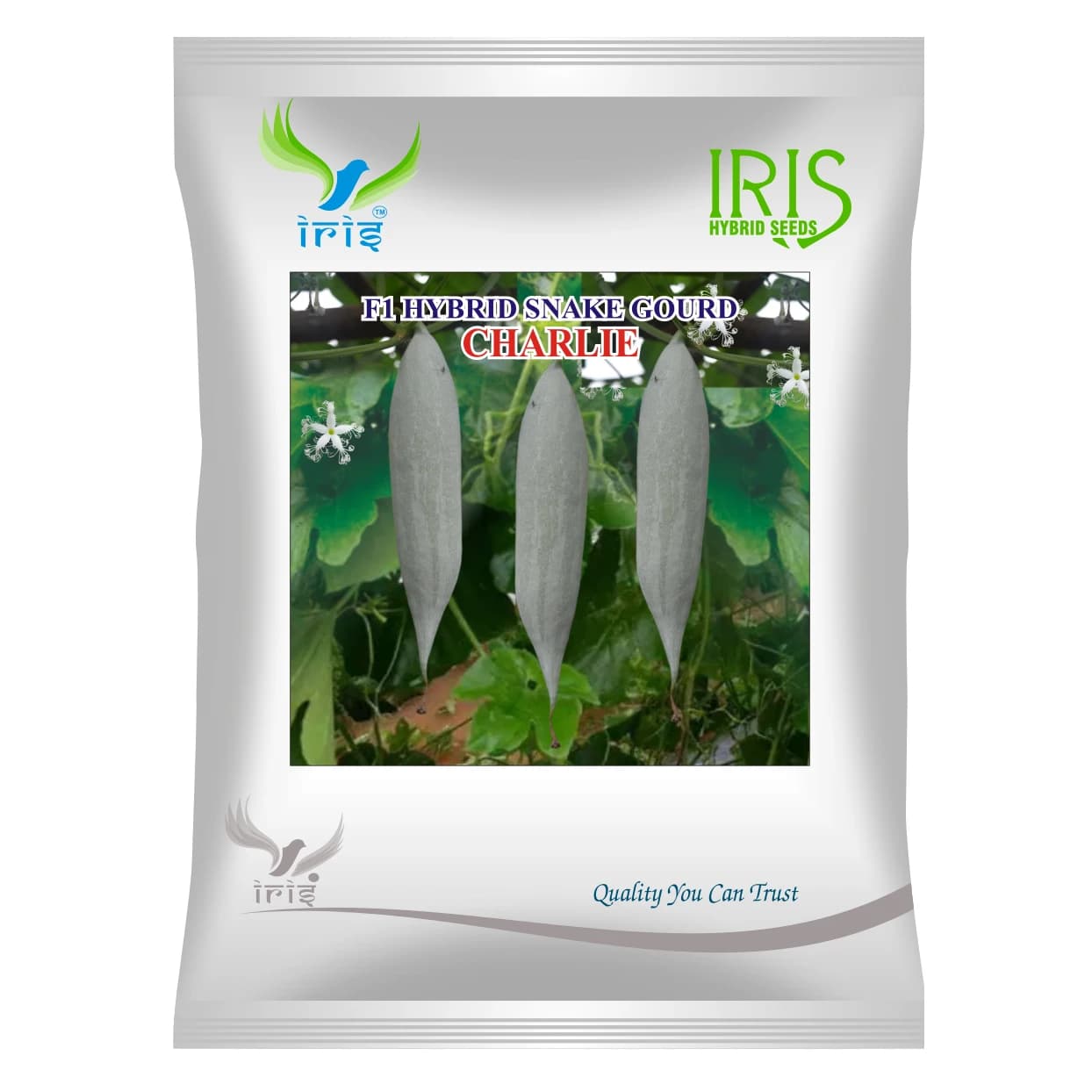 Iris CHARLIE F1 Hybrid Snake Gourd Seeds, High Yield And Light Green Vegetable, Long, Slender, And Cylindrical - Image 1