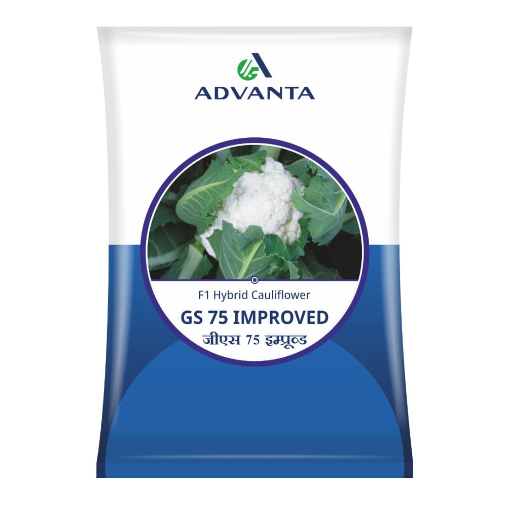 Advanta GS 75 Improved F1 Hybrid Cauliflower Seeds, High Yielding, Early Maturing