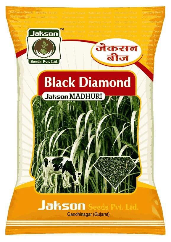 Jakson Black Diamond Madhuri Fodder Sorghum Seed - Image 1