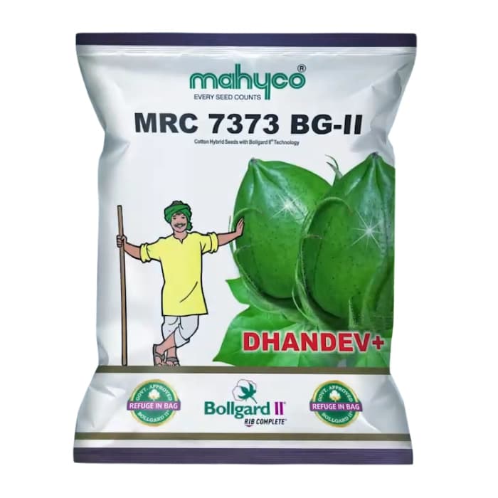 Mahyco Dhandev+ MRC 7373 Hybrid Cotton Seeds, Large Bolls, Medium Duration Crop (475 Gm) - Image 1