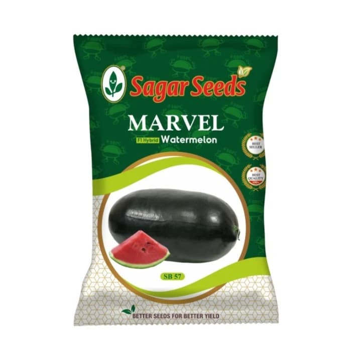 Sagar Seeds Marvel Watermelon (Tarbuj) Seeds - Image 1