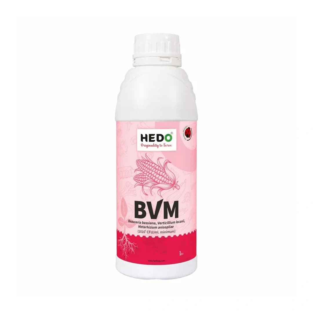 HEDO BVM (Beauveria bassiana + Verticillum Lecanii + Metarhizium Anisopliae) Liquid Bio Pesticide, Targets Many Pests, Including Aphids, Thrips, Etc - Image 1