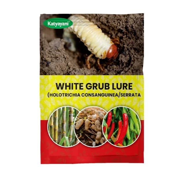 Katyayani White Grub Lure Holotrichia Consanguinea & Serrata, Effective Control In Sugarcane and Groundnut Crop - Image 1