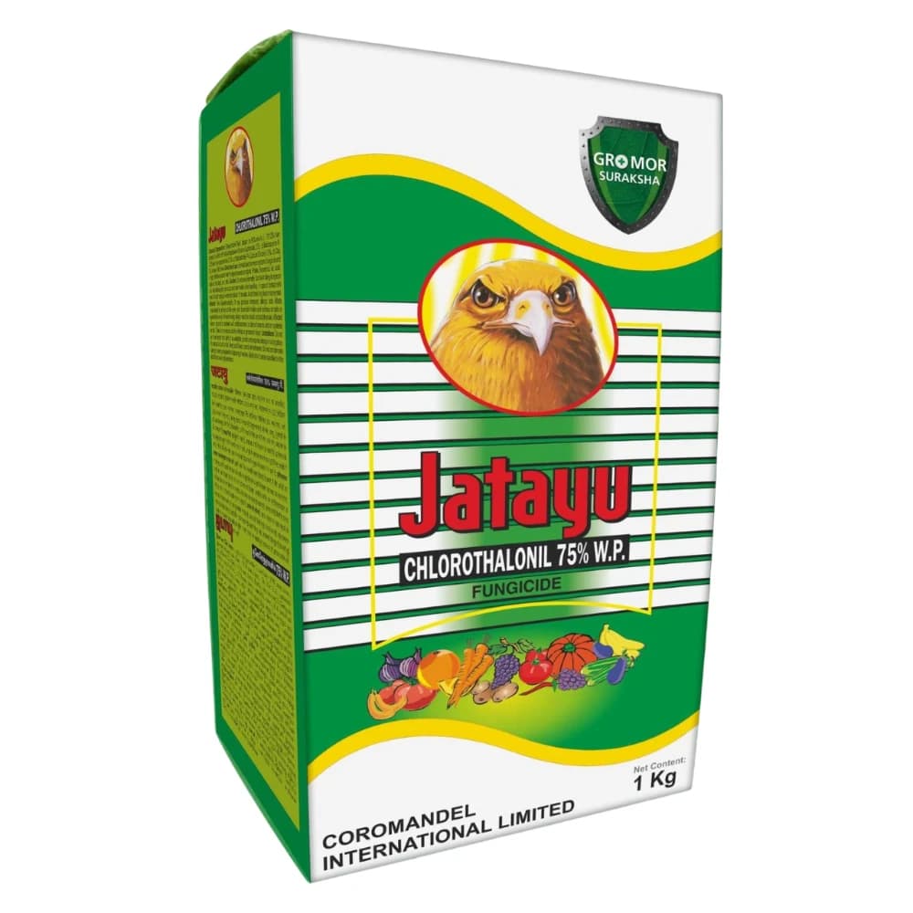Coromandel Jatayu Chlorothalonil 75% WP Fungicide, A Broad Spectrum Contact Fungicide and is Highly Effective Against Anthracnose.