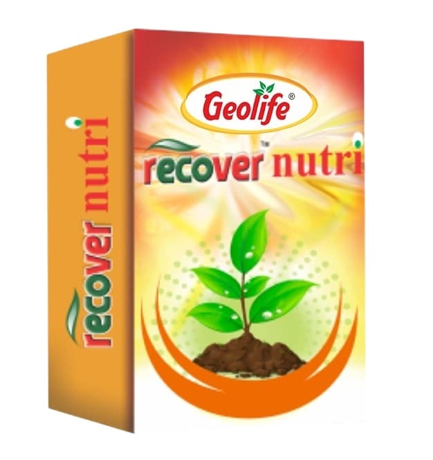 Geolife Recover Nutri Plant Immunity Builder, Non Toxic Fungus Antioxidant, Effective Against Fungus Diseases, Develop Immunity In Plants  - Image 1