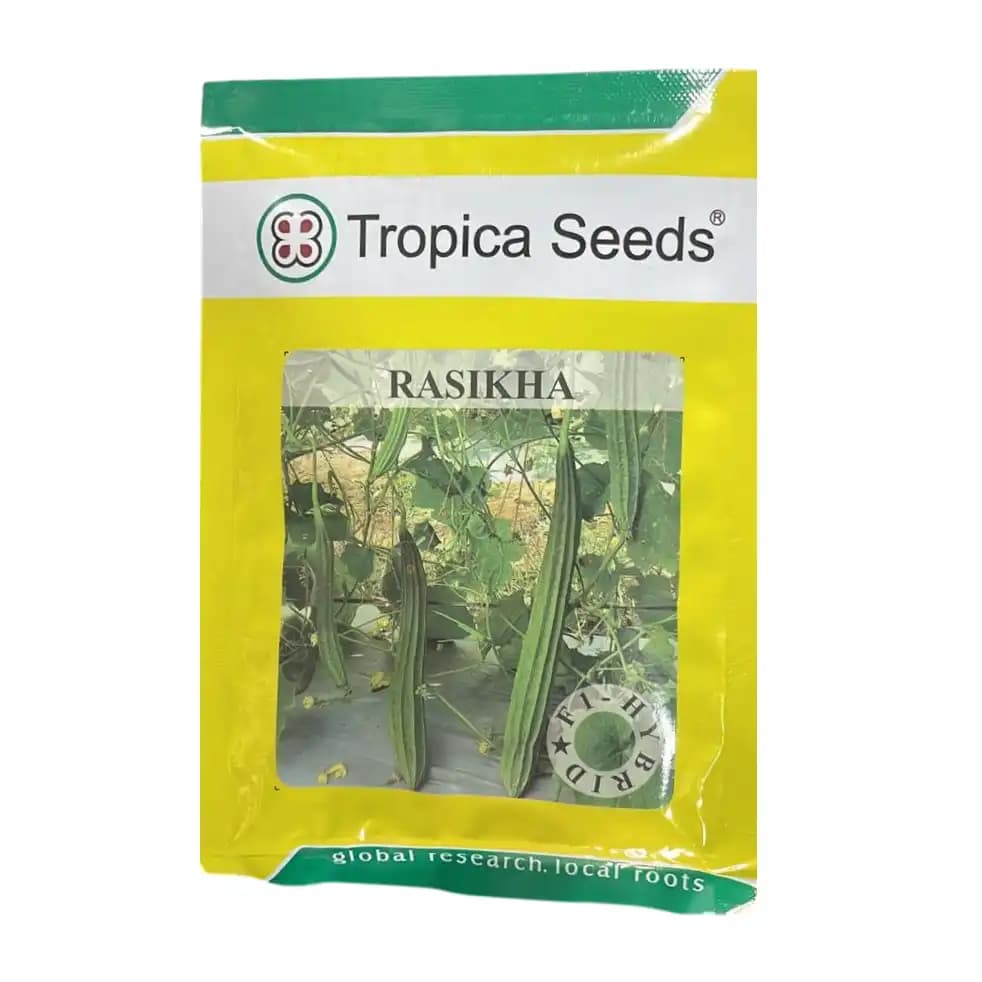 Tropica Rasikha F1 Hybrid Ridge Gourd Seeds, High Yield, Cylindrical Fruit, Medium Early Variety - Image 1