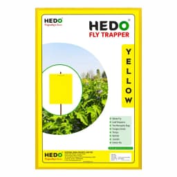 HEDO Eco A4 Size Yellow Sticky Trap For The Insects, Best For Organic Vegetable And Fruits Farming Pest Control 1
