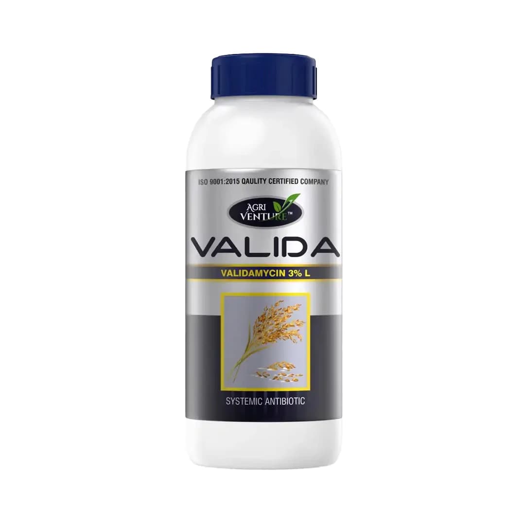 Agriventure Valida (Validamycin 3% Sl) Fungicide, Control The Sheath Blight Disease Of Rice Very Effectively