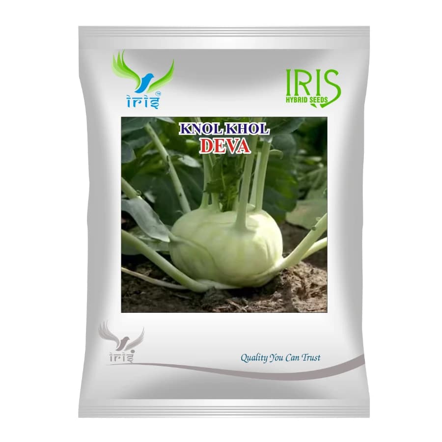 Iris DEVA F1 Hybrid Knol Khol Seeds, High Yield, Round, Uniform And Vigorous Variety - Image 1