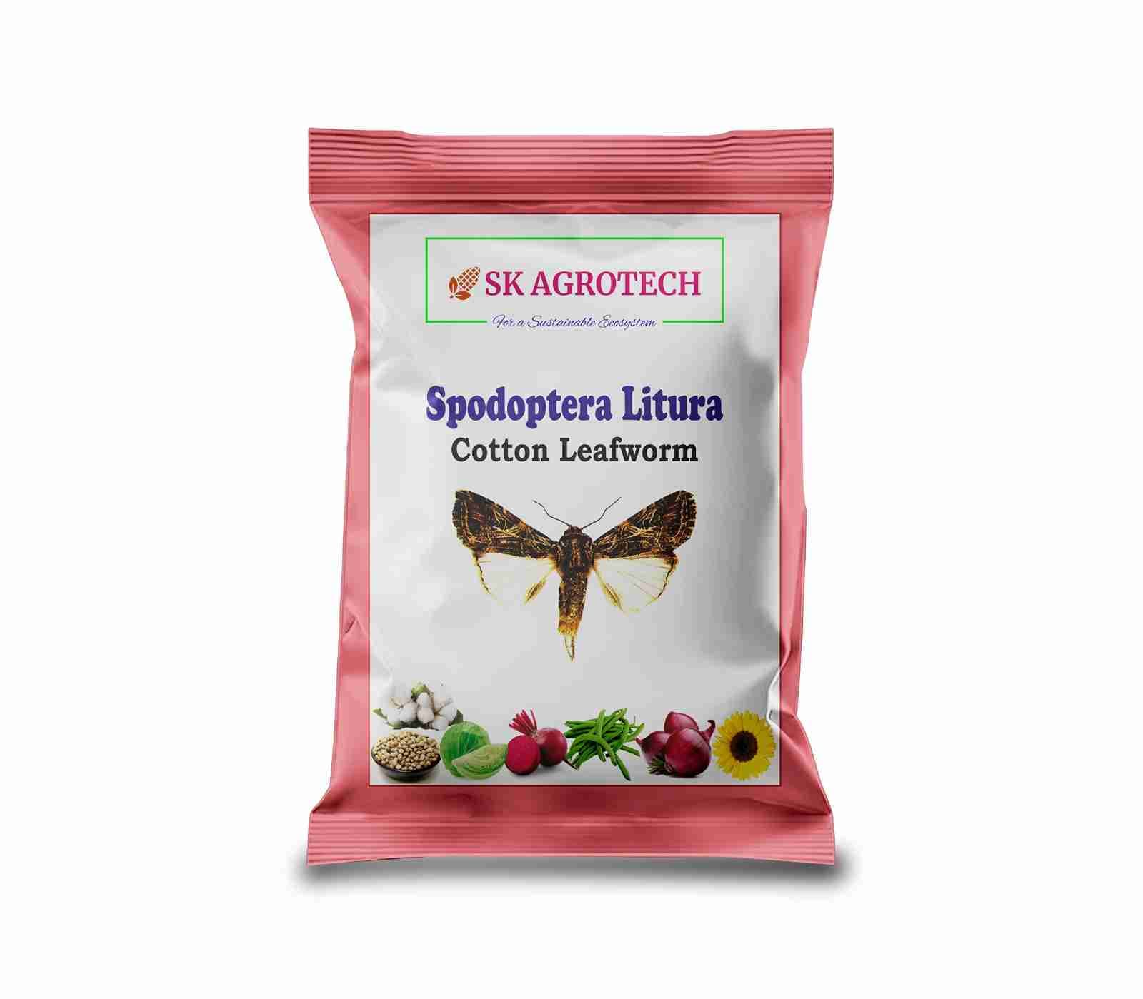 SK Agrotech Spodoptera Litura Cotton Leafworm Pheromone Trap With Lure - Effective Monitoring and Control - Image 10