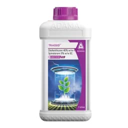 Adama Trassid Diafenthiuron 40% + Spinetoram 5% SC Insecticide, Dual Action Solution 1
