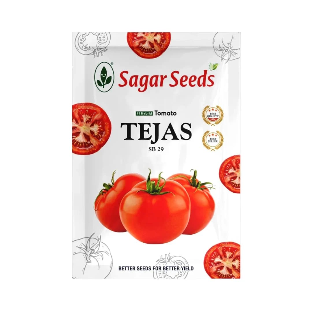 Sagar TEJAS F1 Hybrid Tomato Seeds, Firm Fruits, Ideal For Kharif and Rabi Seasons (3000 Seeds Pack) - Image 1