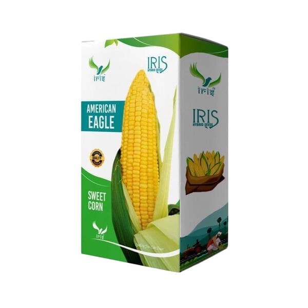 Iris American Eagle F1 Hybrid Sweetcorn Seeds, High Yield, Sweet And Juicy, Large Cobs