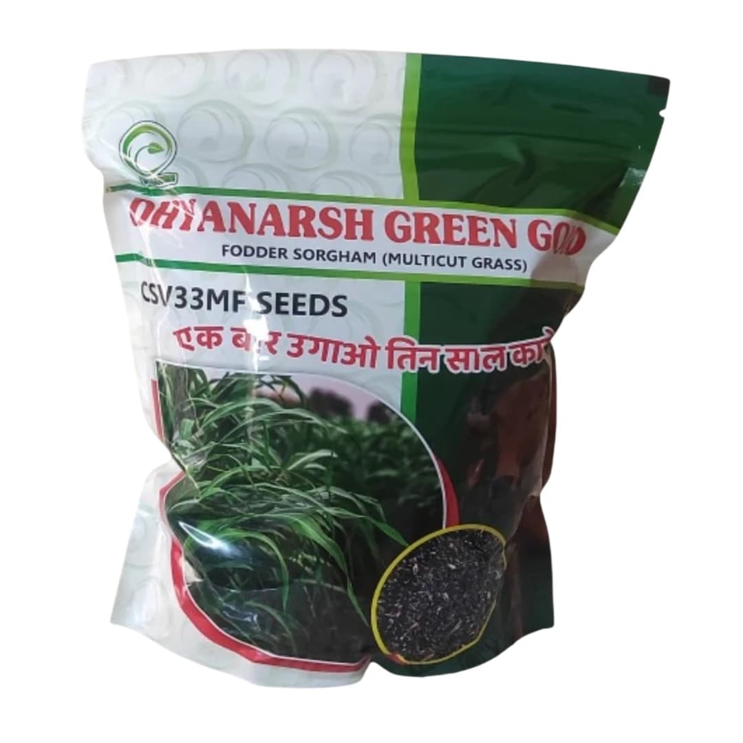 Dhyanarsh CSV33MF Sorghum Seeds, Fodder Seeds, Multi-Cut, Fast Growth Variety - Image 1
