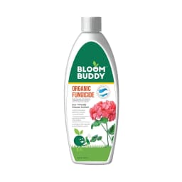 Bloom Buddy Eco Friendly Fungicide For Effective Control Of Wide Range Of Fungal Disease 1