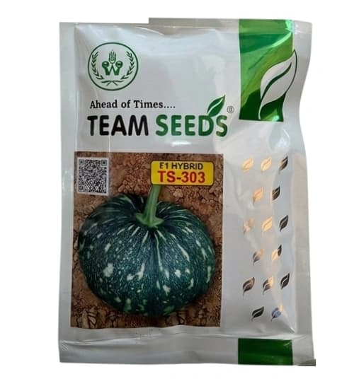 Team Seed F1 Hybrid TS-303 Pumpkin Seeds High Yield Variety - Image 1
