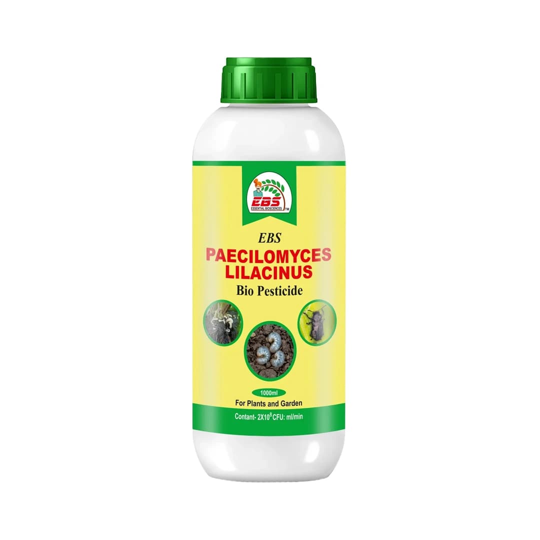 EBS Paecilomyces Lilacinus Bio Pesticide, Control Of Root - Knot Nematode, Ramiform Nematode, Cyst Nematode, Golden Cyst Nematode On All Crops - Image 1